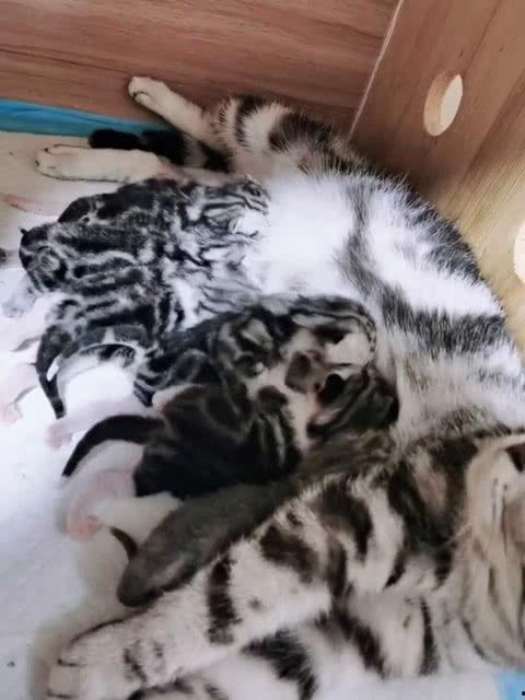 笑死了吃瓜群众图片,笑翻网络！吃瓜群众热议“笑死了”神图