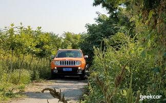 jeep吃瓜群众,揭秘汽车圈的热议焦点