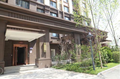 满院子的吃瓜群众是谁,揭秘围观背后的故事