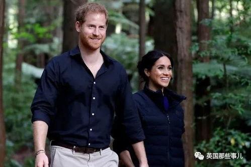 梅根吃瓜群众,瓜田里的明星，吃瓜群众的焦点