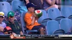 看台吃瓜群众,揭秘吃瓜群众的欢乐与争议