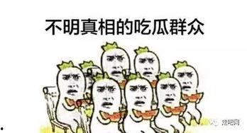 吃瓜群众调皮笑哭,揭秘娱乐圈欢乐瞬间